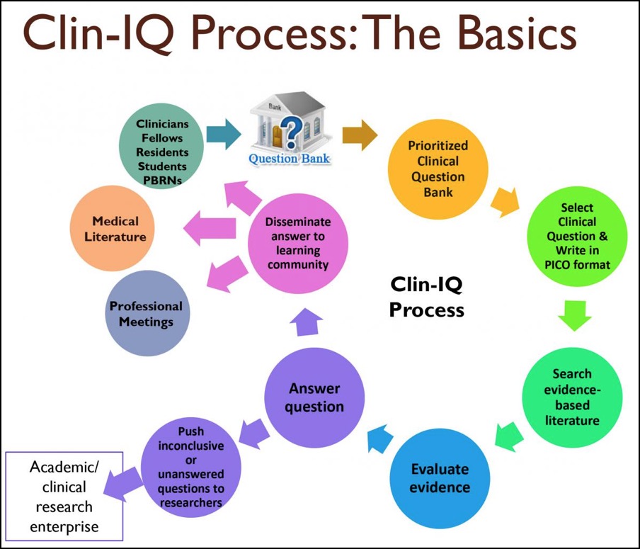 Clin-IQ Process - The Basics