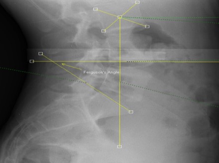 Stacks Image 3160